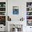 9 Year Old Boy Diving into a Swimming Pool, Woodstock, New York, USA-Paul Sutton-Photographic Print displayed on a wall