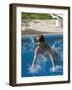 9 Year Old Boy Diving into a Swimming Pool, Woodstock, New York, USA-Paul Sutton-Framed Photographic Print