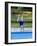 9 Year Old Boy Jumping into the Swimming Pool, Kiamesha Lake, New York, USA-Paul Sutton-Framed Photographic Print