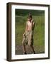 9 Year Old Boy Posing on a Rock Next to a Pond, Woodstock, New York, USA-Paul Sutton-Framed Photographic Print