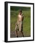 9 Year Old Boy Posing on a Rock Next to a Pond, Woodstock, New York, USA-Paul Sutton-Framed Photographic Print