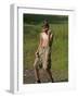 9 Year Old Boy Posing on a Rock Next to a Pond, Woodstock, New York, USA-Paul Sutton-Framed Photographic Print