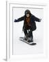 9 Year Old Boy Riding His Snowboard, New York, USA-Paul Sutton-Framed Photographic Print