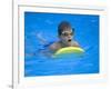 9 Year Old Boy Swimming in Pool, Kiamesha Lake, New York, USA-Paul Sutton-Framed Photographic Print