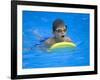 9 Year Old Boy Swimming in Pool, Kiamesha Lake, New York, USA-Paul Sutton-Framed Photographic Print