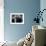 955718 (photo)-null-Framed Photo displayed on a wall