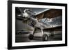 964-Stephen Arens-Framed Photographic Print