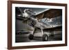 964-Stephen Arens-Framed Photographic Print