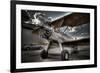 964-Stephen Arens-Framed Photographic Print
