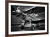 964-Stephen Arens-Framed Photographic Print