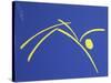 9CO-Pierre Henri Matisse-Stretched Canvas