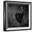 ***-Constantin Shestopalov-Framed Photographic Print