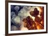 .:.:.**-Dimitar Lazarov --Framed Photographic Print