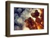 .:.:.**-Dimitar Lazarov --Framed Photographic Print