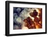 .:.:.**-Dimitar Lazarov --Framed Photographic Print