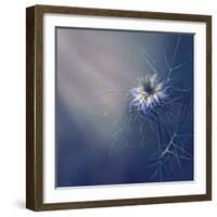 ....*-Dimitar Lazarov --Framed Photographic Print