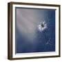 ....*-Dimitar Lazarov --Framed Photographic Print