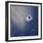 ....*-Dimitar Lazarov --Framed Photographic Print