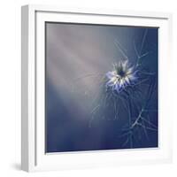 ....*-Dimitar Lazarov --Framed Photographic Print