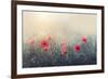 .....*...**...*..**...-Dimitar Lazarov --Framed Photographic Print