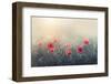 .....*...**...*..**...-Dimitar Lazarov --Framed Photographic Print