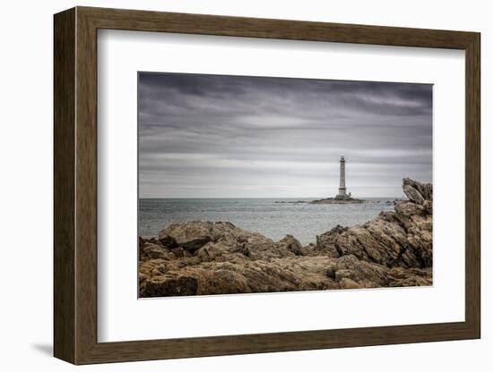 *-Sasa Ka-Framed Photographic Print