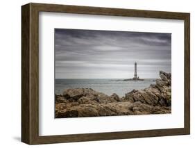 *-Sasa Ka-Framed Photographic Print