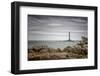 *-Sasa Ka-Framed Photographic Print