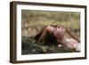 *-Olga Barantseva-Framed Giclee Print