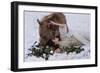 *-Olga Barantseva-Framed Giclee Print