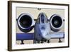 A-10 Thunderbolt Aircraft Called 'Warthog' Was Designed in the 1970s-null-Framed Photo