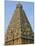 A 10th Century Temple of Sri Brihadeswara, Unesco World Heritage Site, Thanjavur, India-Occidor Ltd-Mounted Photographic Print