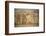 A 15th century fresco depicting a death dance, La Ferte-Loupiere, Yonne, France-Godong-Framed Photographic Print