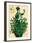 A 1910 Vintage St. Patrick's Day Greeting Card Illustration of an Irish Man Showing 'The Wearing Of-Victorian Traditions-Framed Photographic Print