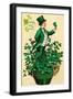 A 1910 Vintage St. Patrick's Day Greeting Card Illustration of an Irish Man Showing 'The Wearing Of-Victorian Traditions-Framed Photographic Print