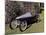 A 1921 Av Monocar-null-Mounted Photographic Print