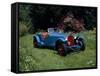 A 1933 Alfa Romeo 8C 2300-null-Framed Stretched Canvas