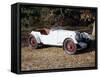 A 1933 Aston Martin Le Mans Car-null-Framed Stretched Canvas
