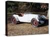 A 1933 Aston Martin Le Mans Car-null-Stretched Canvas