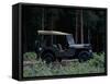 A 1943 Willys Jeep-null-Framed Stretched Canvas