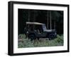 A 1943 Willys Jeep-null-Framed Photographic Print