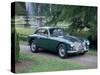 A 1952 Aston Martin Db2 Saloon Car Photographed in a Stately Garden-null-Stretched Canvas