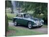 A 1952 Aston Martin Db2 Saloon Car Photographed in a Stately Garden-null-Stretched Canvas