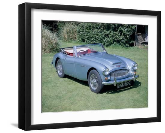 Premium Photographic Print, , large