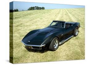 A 1969 Chevrolet Corvette Stingray in a Field-null-Stretched Canvas