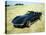 A 1969 Chevrolet Corvette Stingray in a Field-null-Stretched Canvas