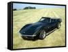 A 1969 Chevrolet Corvette Stingray in a Field-null-Framed Stretched Canvas