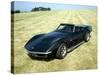 A 1969 Chevrolet Corvette Stingray in a Field-null-Stretched Canvas
