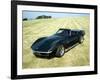 A 1969 Chevrolet Corvette Stingray in a Field-null-Framed Photographic Print