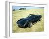 A 1969 Chevrolet Corvette Stingray in a Field-null-Framed Photographic Print